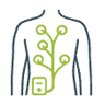 Холтер