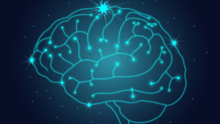 Исследование вызванных потенциалов головного мозга
